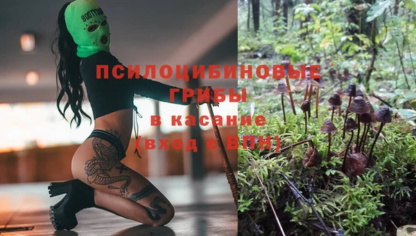 бошки Аркадак