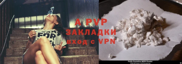 бошки Аркадак