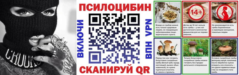 как найти закладки  Кубинка  Галлюциногенные грибы Psilocybine cubensis 